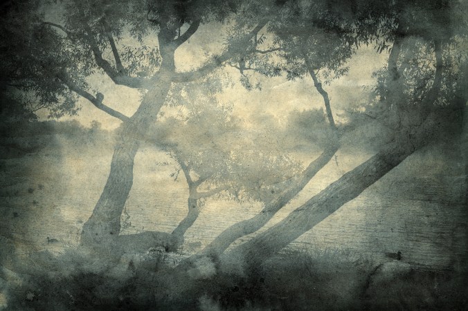 15140482982_909c36aac3_o