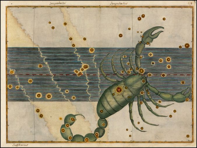 Scorpio by Bayer