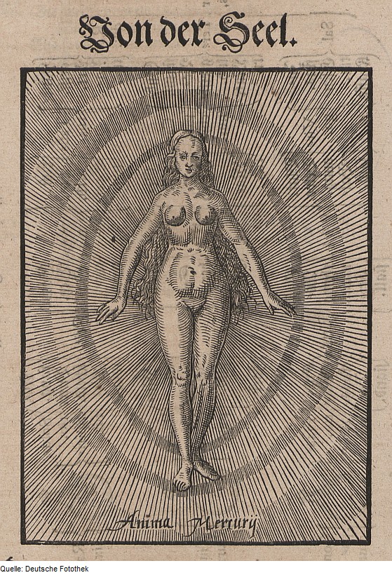 Full Moon in&nbsp;Virgo