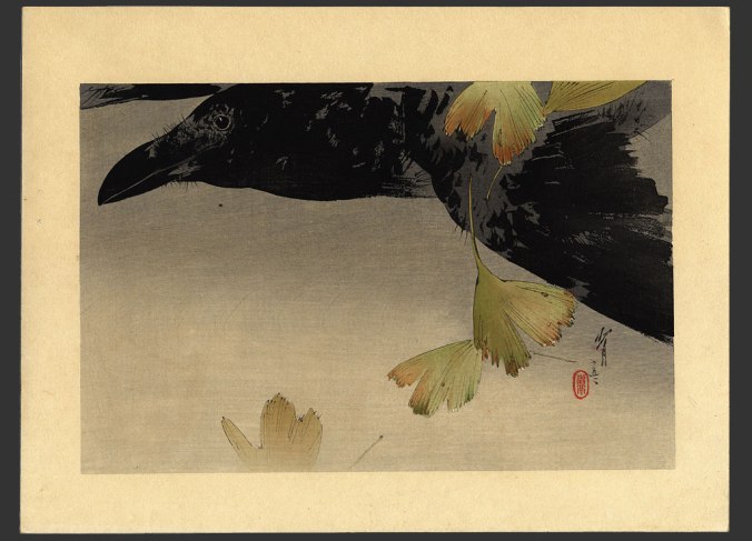 crow-in-flight-watanabe