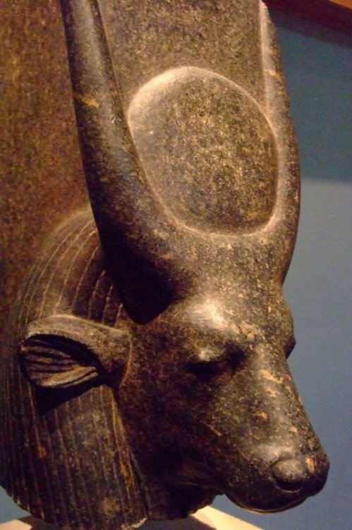 hathor cow goddess