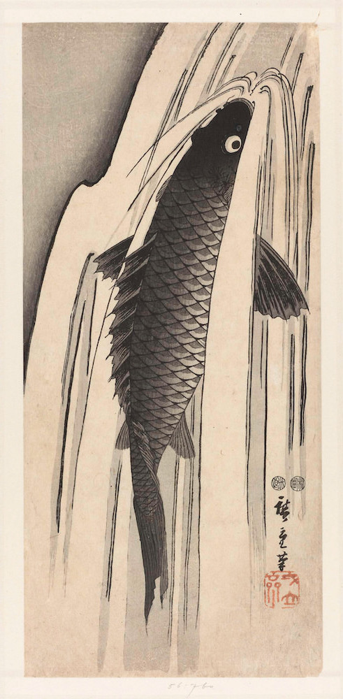 hiroshige carp swimming against waterfall