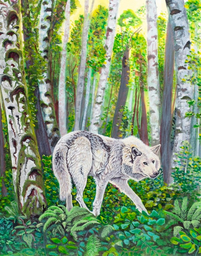 M.Bremner_Alder_Wolf