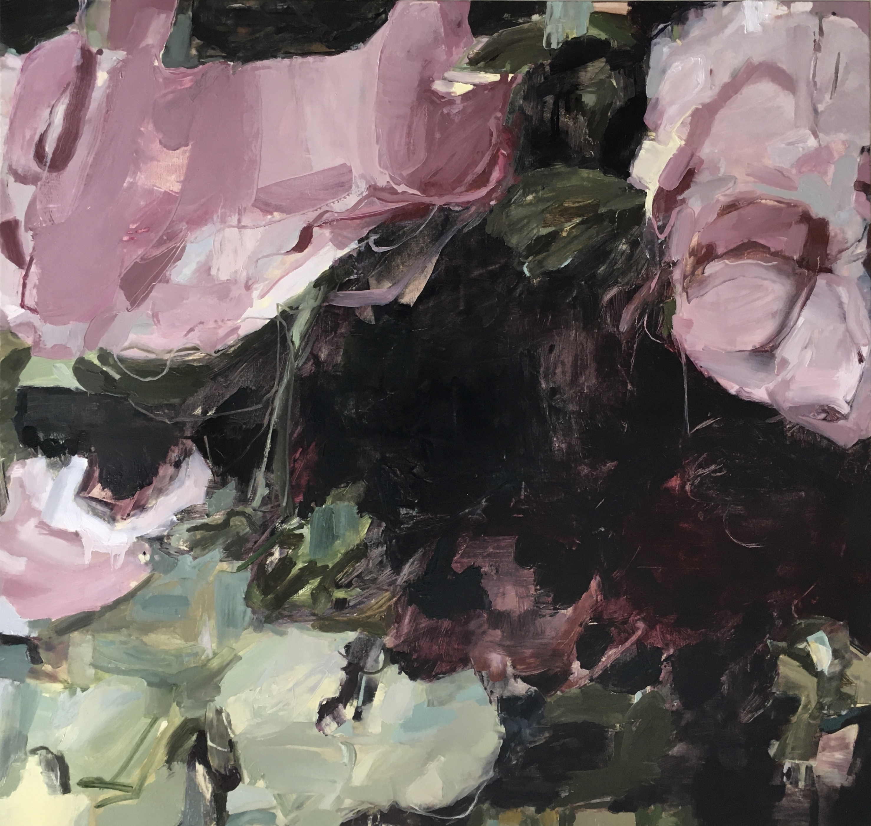 hellebore 36x38 oil on linen