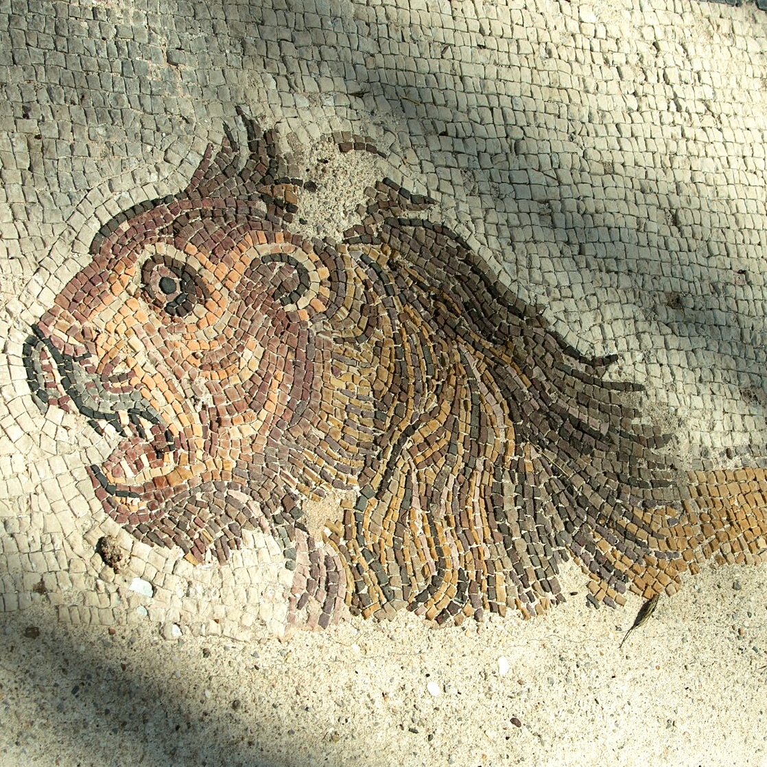 New Moon in&nbsp;Leo