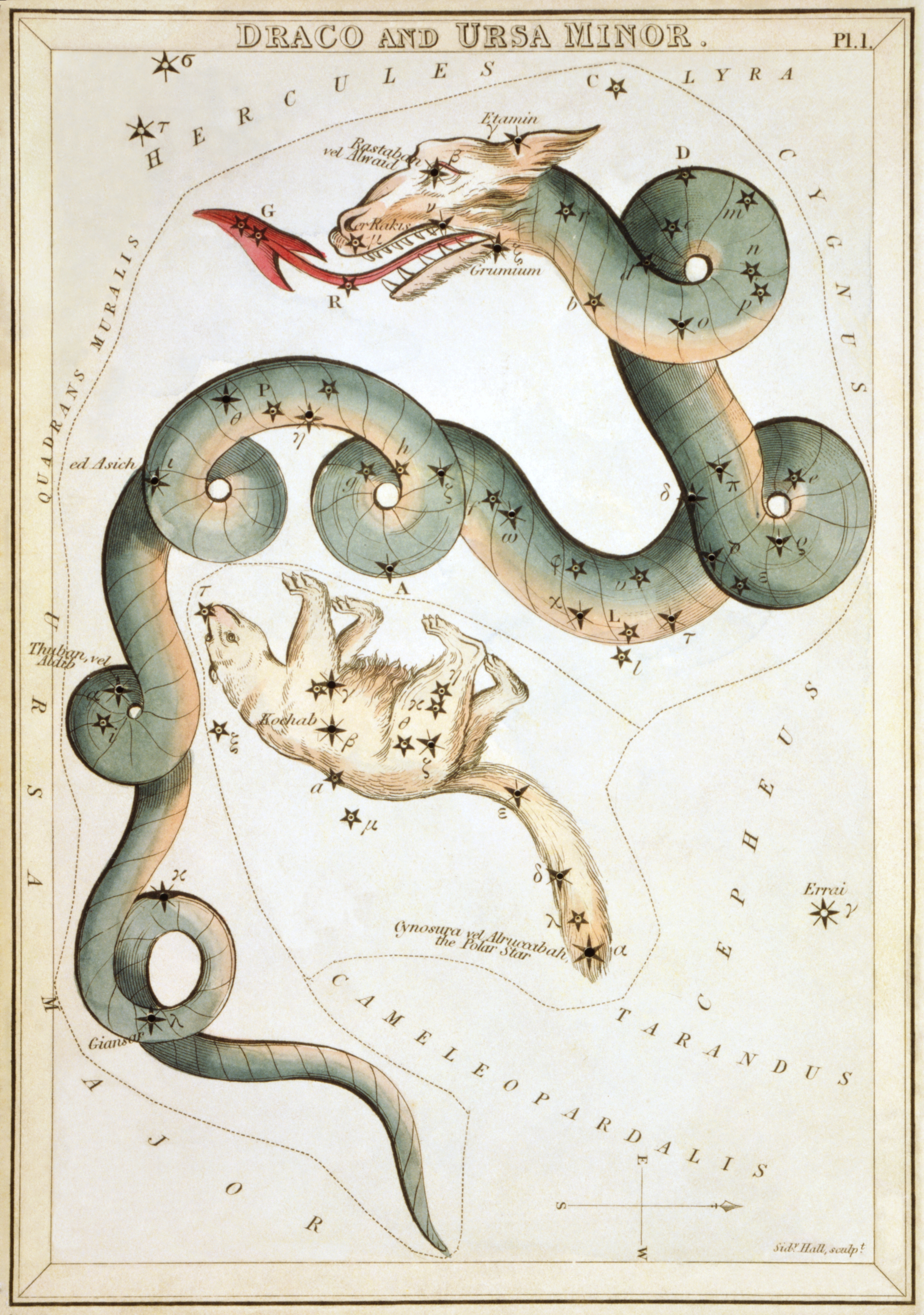 Pole Star Epochs: From the Dragon to the Bear Pole Star Epochs: From the Dragon to the Bear